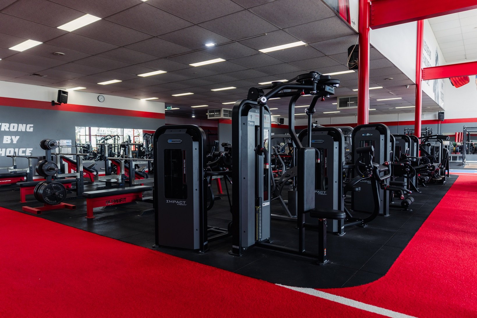 Training Day Gym in Clayton